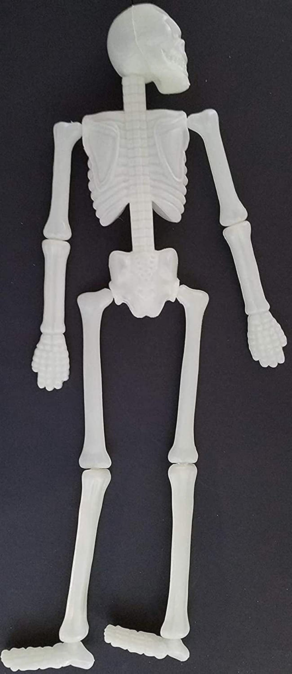 Halloween Glow in Dark Human Skeletons Dangling Articulate Plastic 18”H x 8”W x 2”D