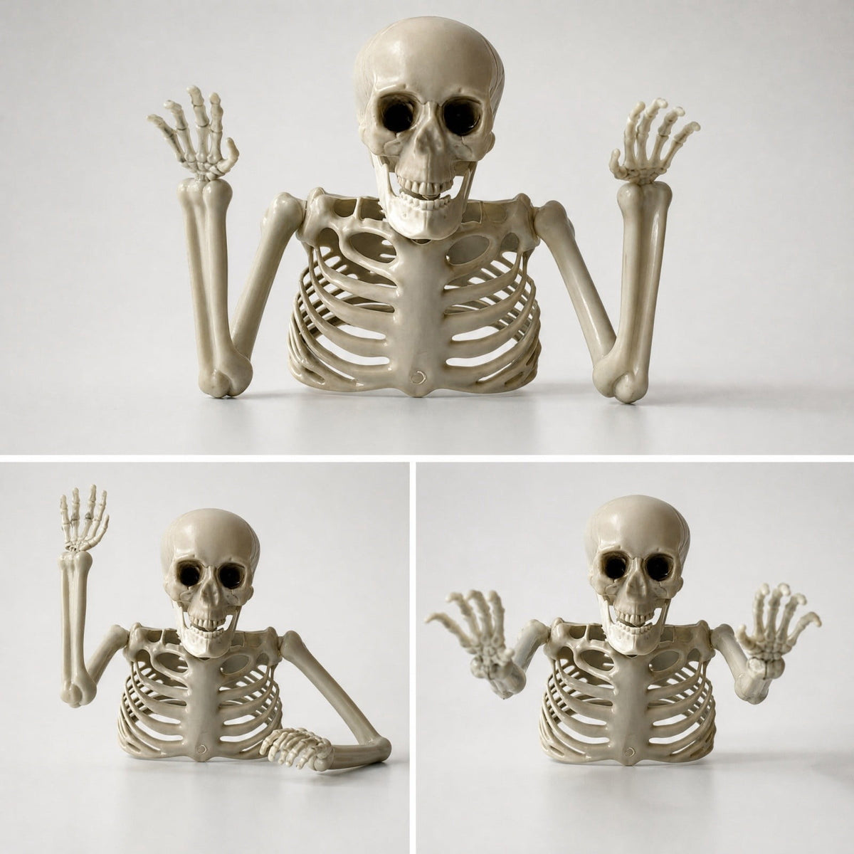 Realistic White Plastic Half Torso Skeleton Tabletop Prop, Detailed Human Half Skeleton Halloween Desktop Decor, Weatherproof Indoor Outdoor Reusable Spooky Party Ornament