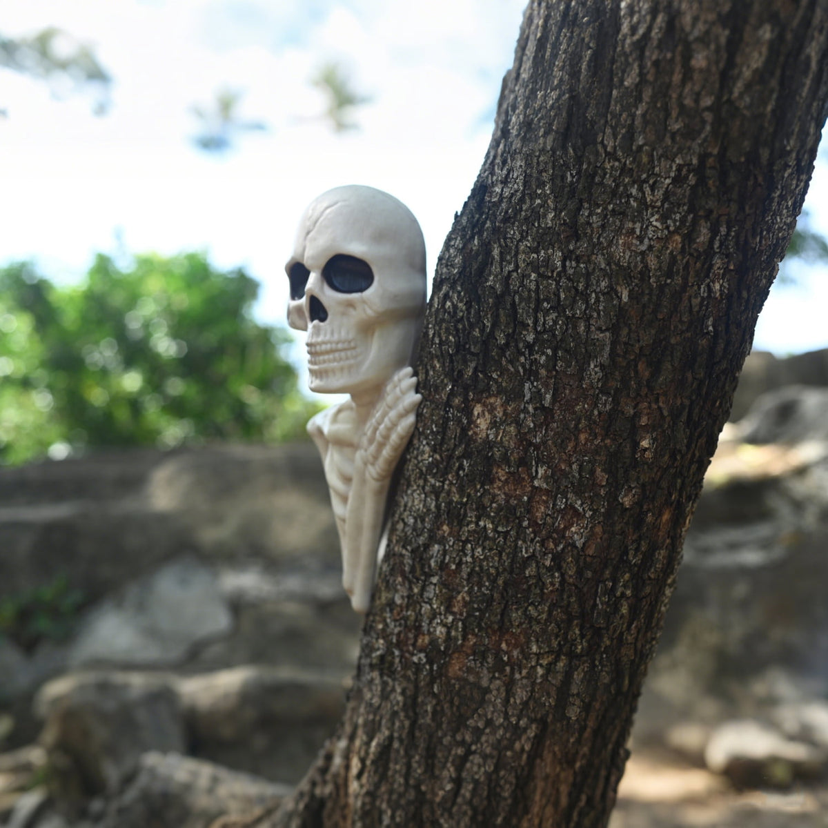 Seasons 14" Halloween Skeleton Tree Peeker for Outdoor Yard Garden Decoration