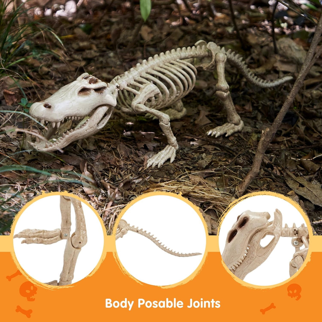 Joyfy 28" Crocodiles Skeleton Halloween Decorations with Posable Joints for Halloween Party Outdoor Indoor Decor