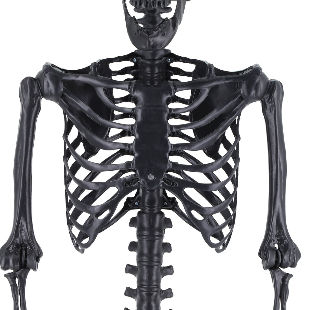 Cixusio 5.4Ft/165cm Halloween Skeleton Full Body Life Size Human Bones with Movable Joints for Indoor Outdoor Haunted House Party Halloween Props Decorations