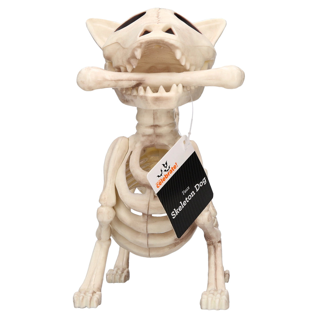 Faux Skeleton Dog Decoration, 9", Halloween by Way To Celebrate