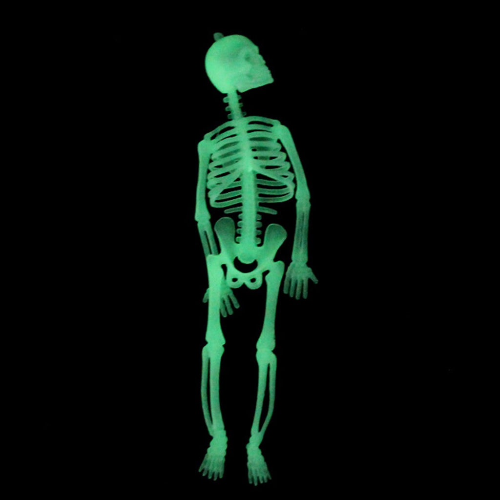 Matoen 12inch Halloween Luminous Skeleton Full Body Realistic Bones with Movable Joints for Halloween Indoor and Outdoor Decoration