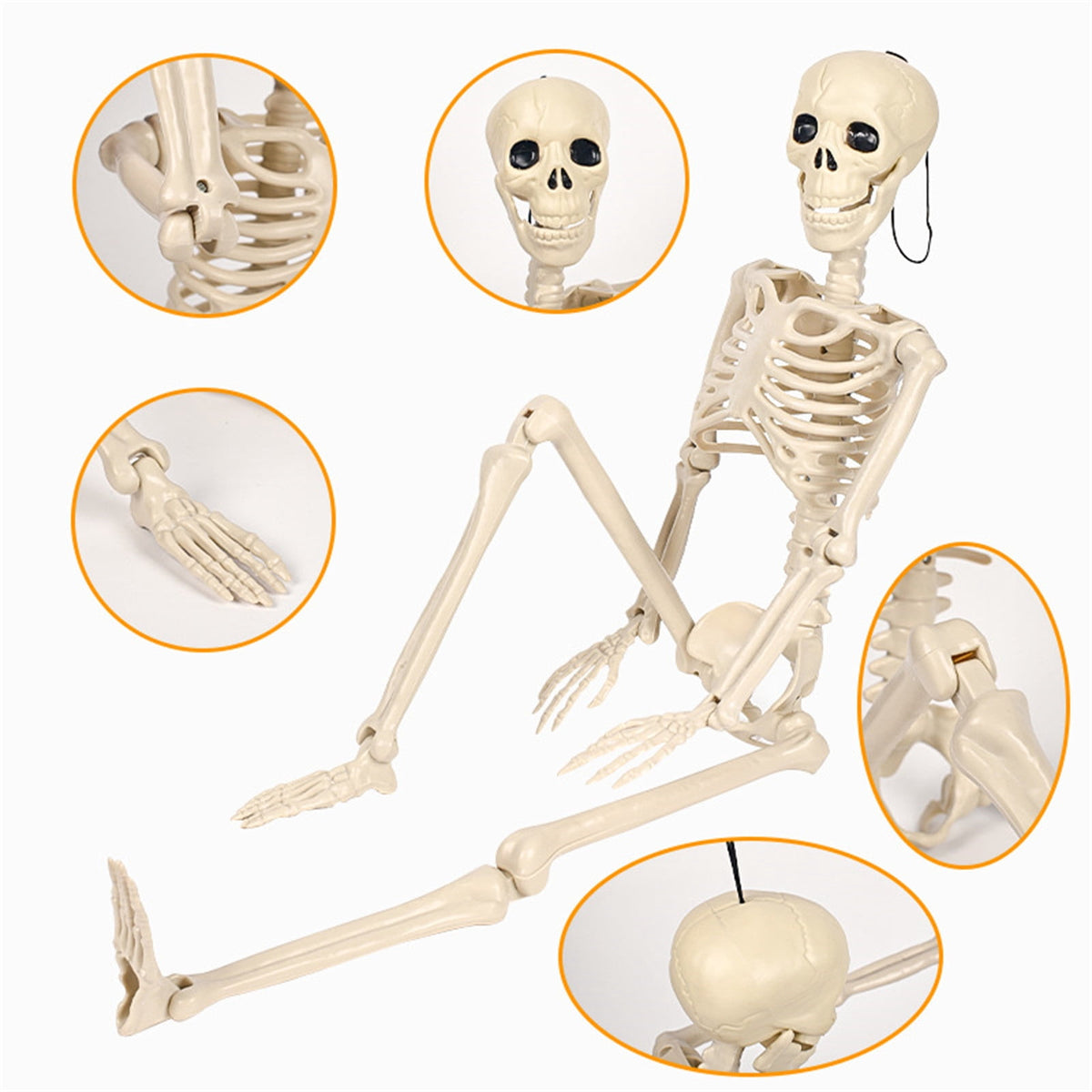 Realistic White Plastic Half Torso Skeleton Tabletop Prop, Detailed Human Half Skeleton Halloween Desktop Decor, Weatherproof Indoor Outdoor Reusable Spooky Party Ornament