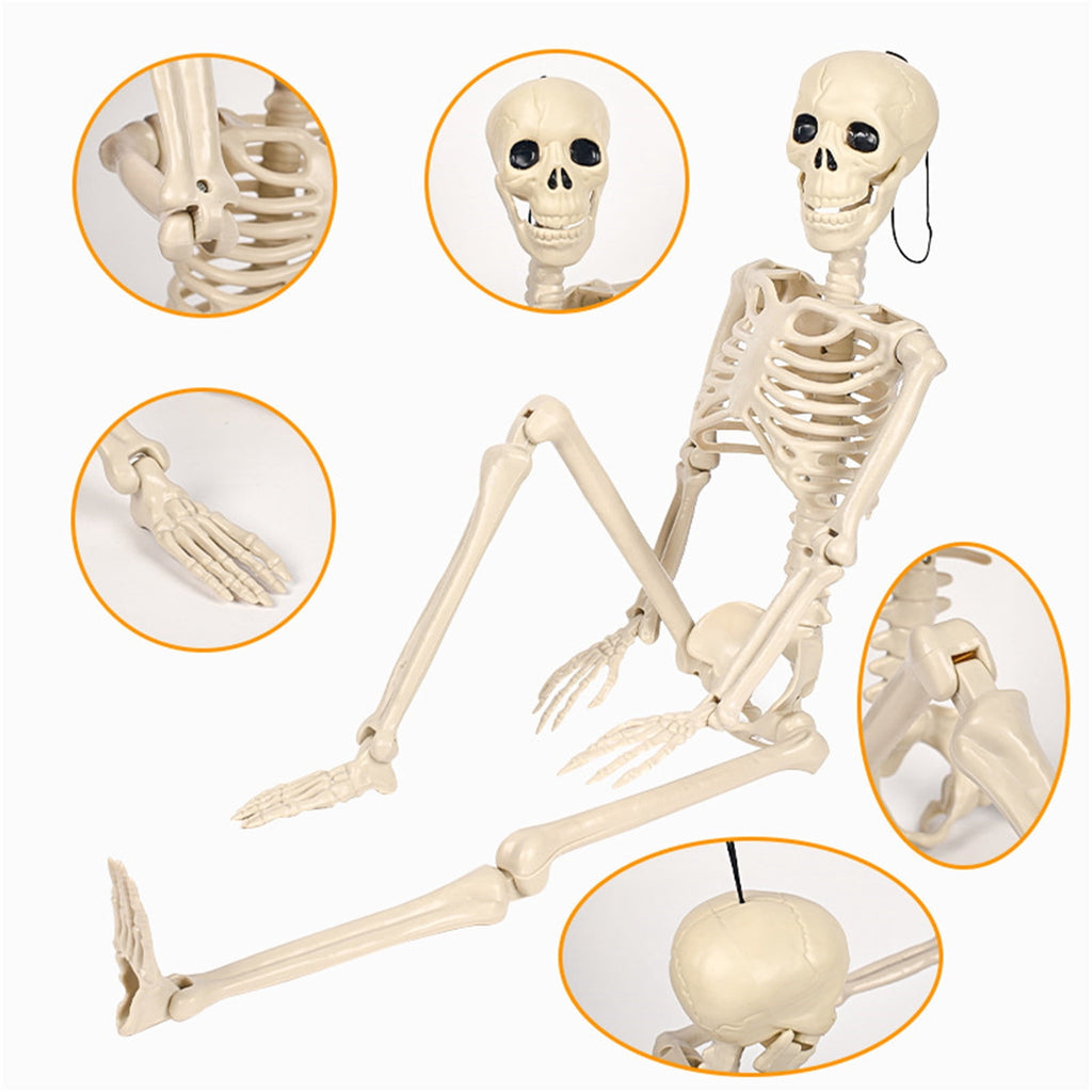 AUHomi 1 PC Halloween Skeleton, 15.7" Full Body Halloween Skeleton Decor with Movable Joints, Party Decorations, Halloween Outdoor Skeleton Decoration, Horror House Graveyard Props (S)