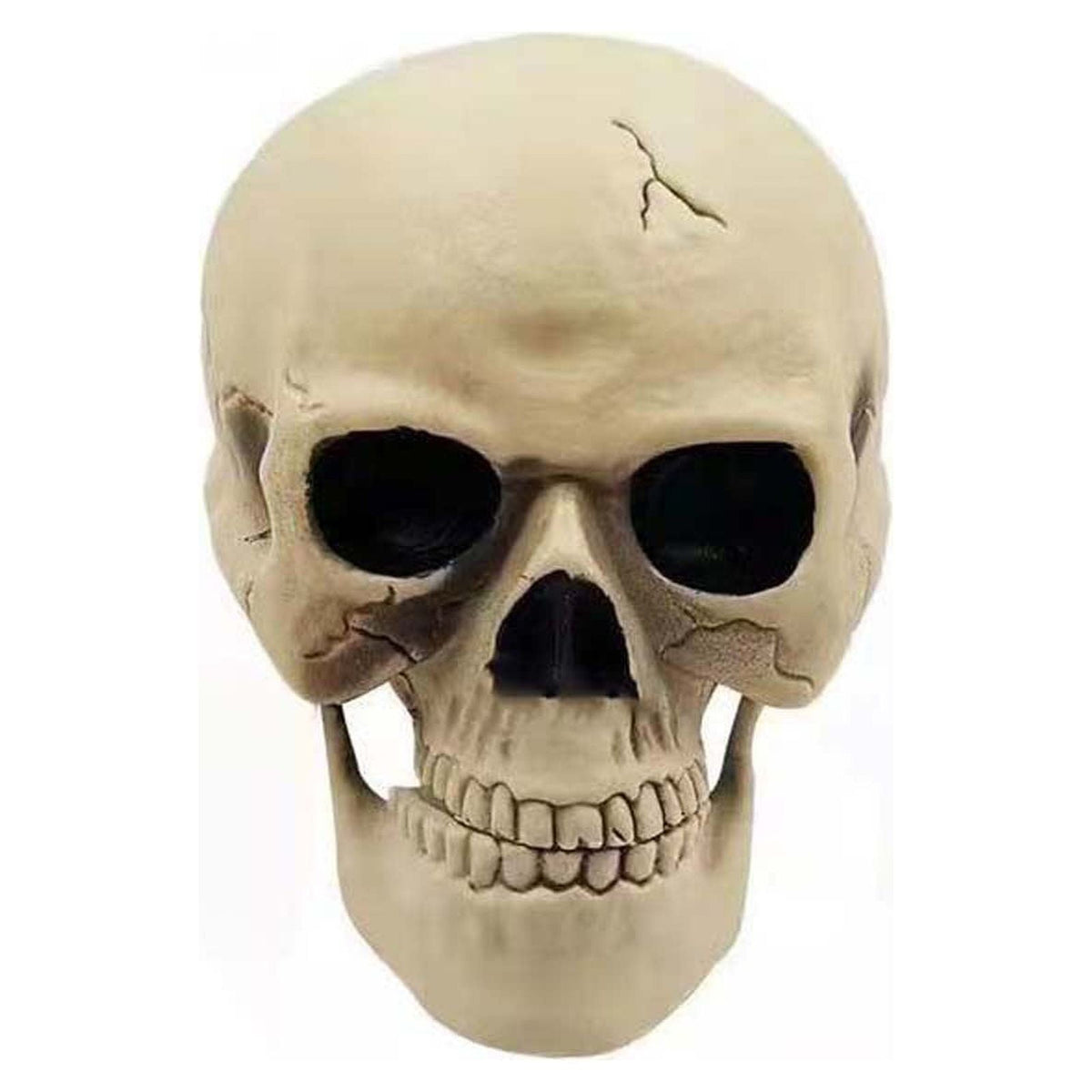 Clearance！ Looking Skeleton Stakes Garden Graveyard Yard Lawn Stakes Halloween Yard Decorations Ground Breaker Skeleton for Outdoor