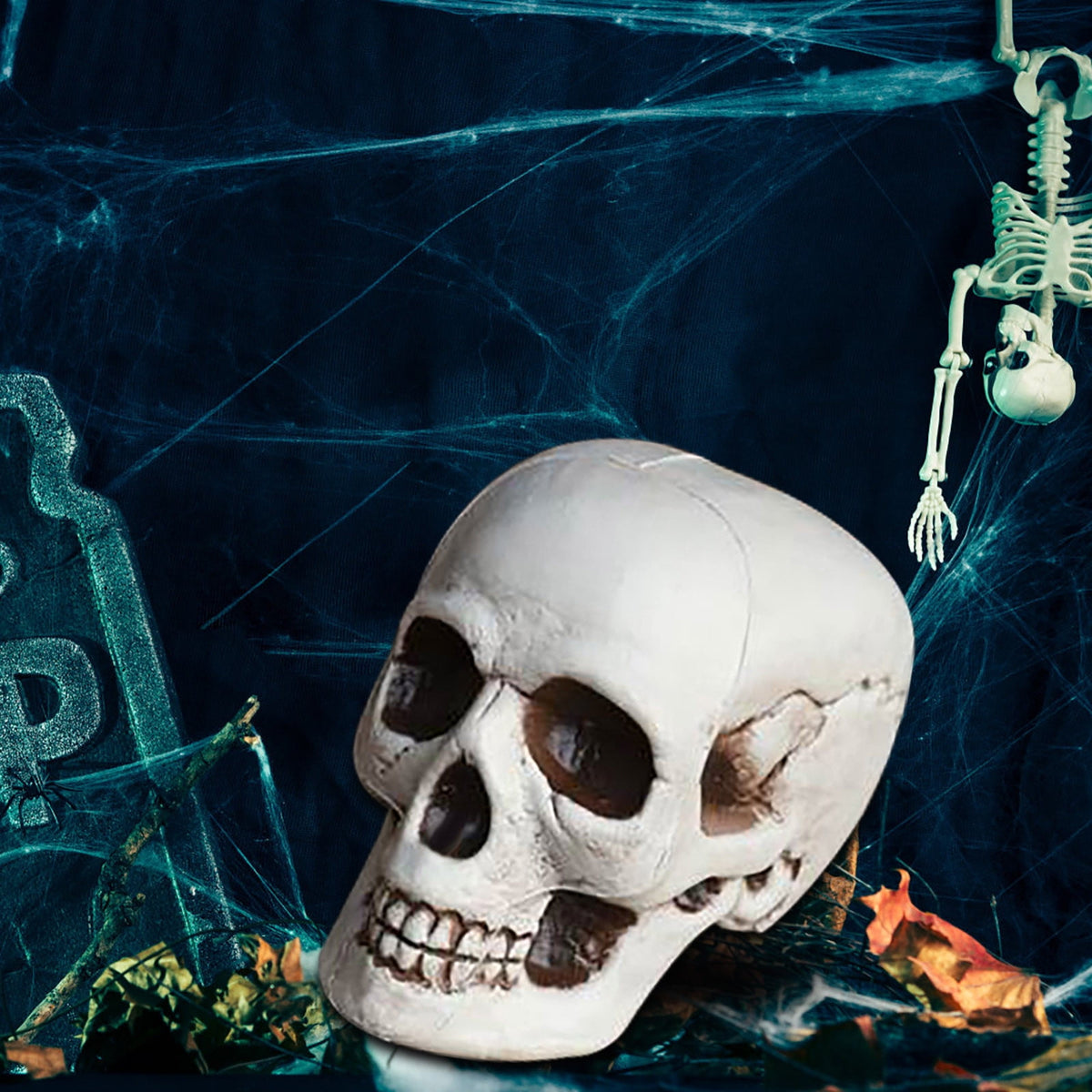 Darzheoy Halloween Skulls Halloween Skeletons Realistic Fake Simulation Human Skull Head Model Halloween Prop Realistic Mini Skeleton Spooky Halloween Decoration