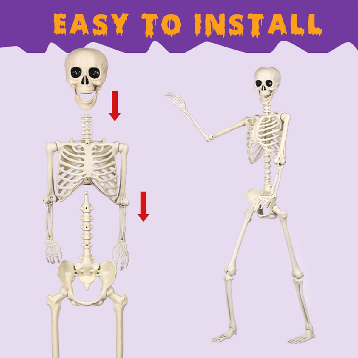 Poseable Halloween Skeleton with Flexible Joints, Sturdy Indoor/Outdoor Party Decor