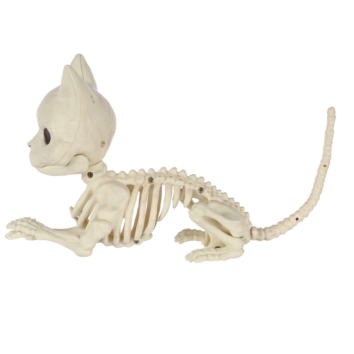 Faux Skeleton Cat Decoration, 5.1", Halloween by Way To Celebrate