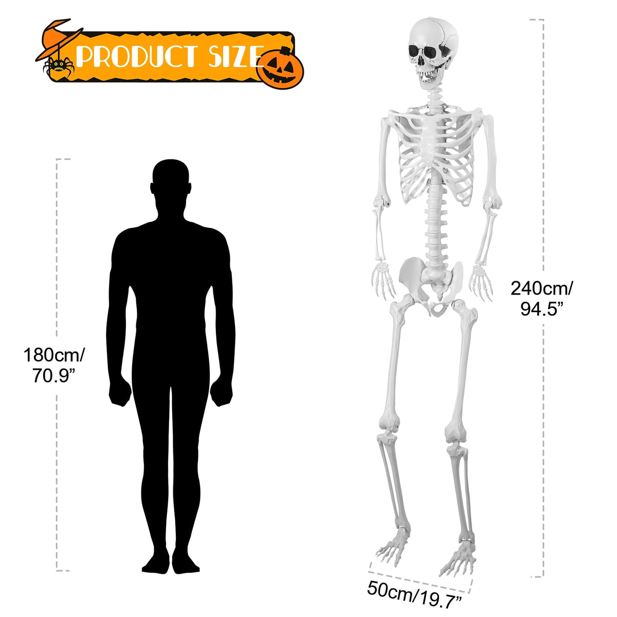 Cixusio 5.4Ft/165cm Halloween Skeleton Full Body Life Size Human Bones with Movable Joints for Indoor Outdoor Haunted House Party Halloween Props Decorations