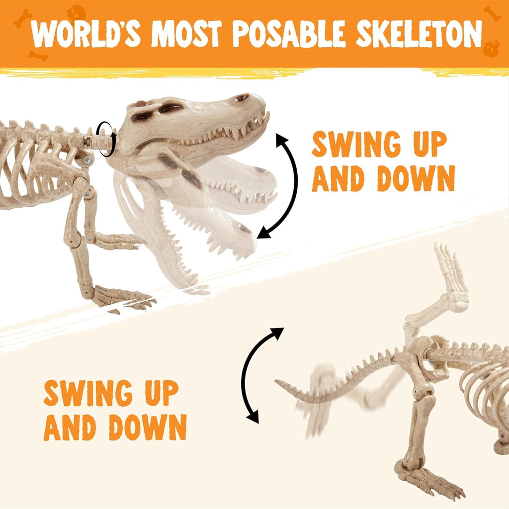 Joyfy 28" Crocodiles Skeleton Halloween Decorations with Posable Joints for Halloween Party Outdoor Indoor Decor