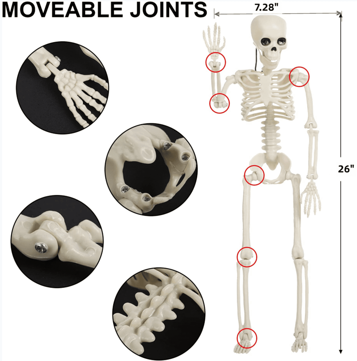 Happiwiz Skeleton Halloween Decor Adjustable Full Body White Plastic Decoration