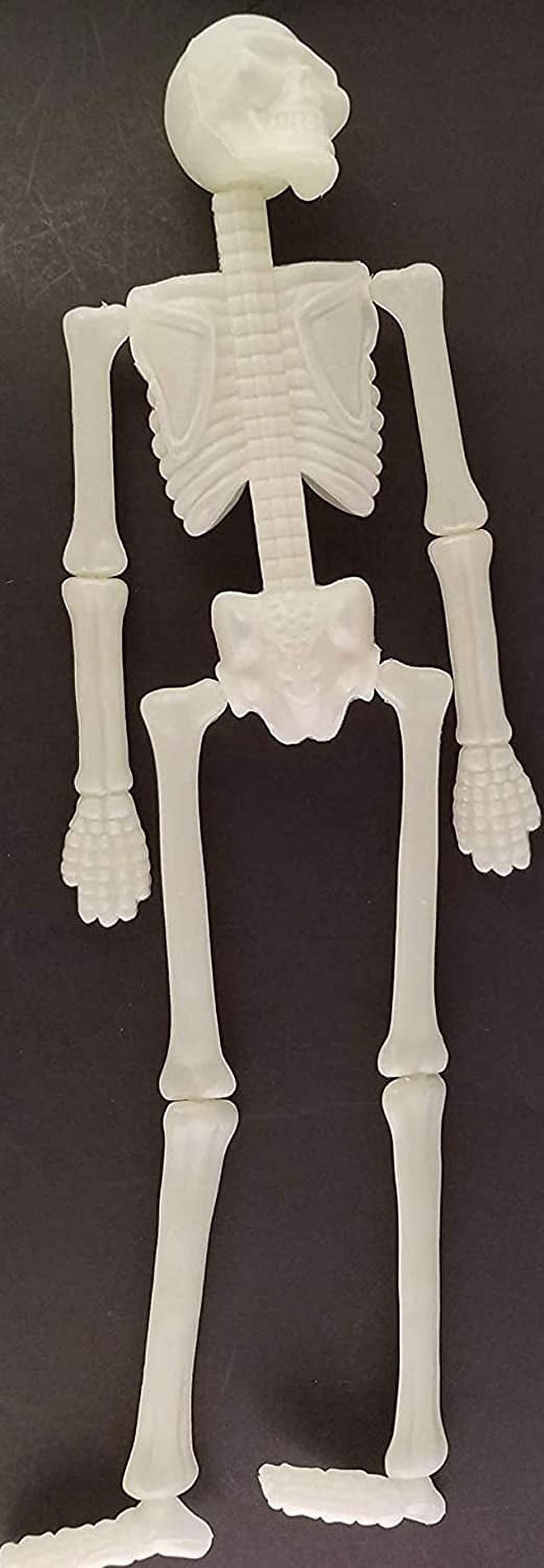 Halloween Glow in Dark Human Skeletons Dangling Articulate Plastic 18”H x 8”W x 2”D