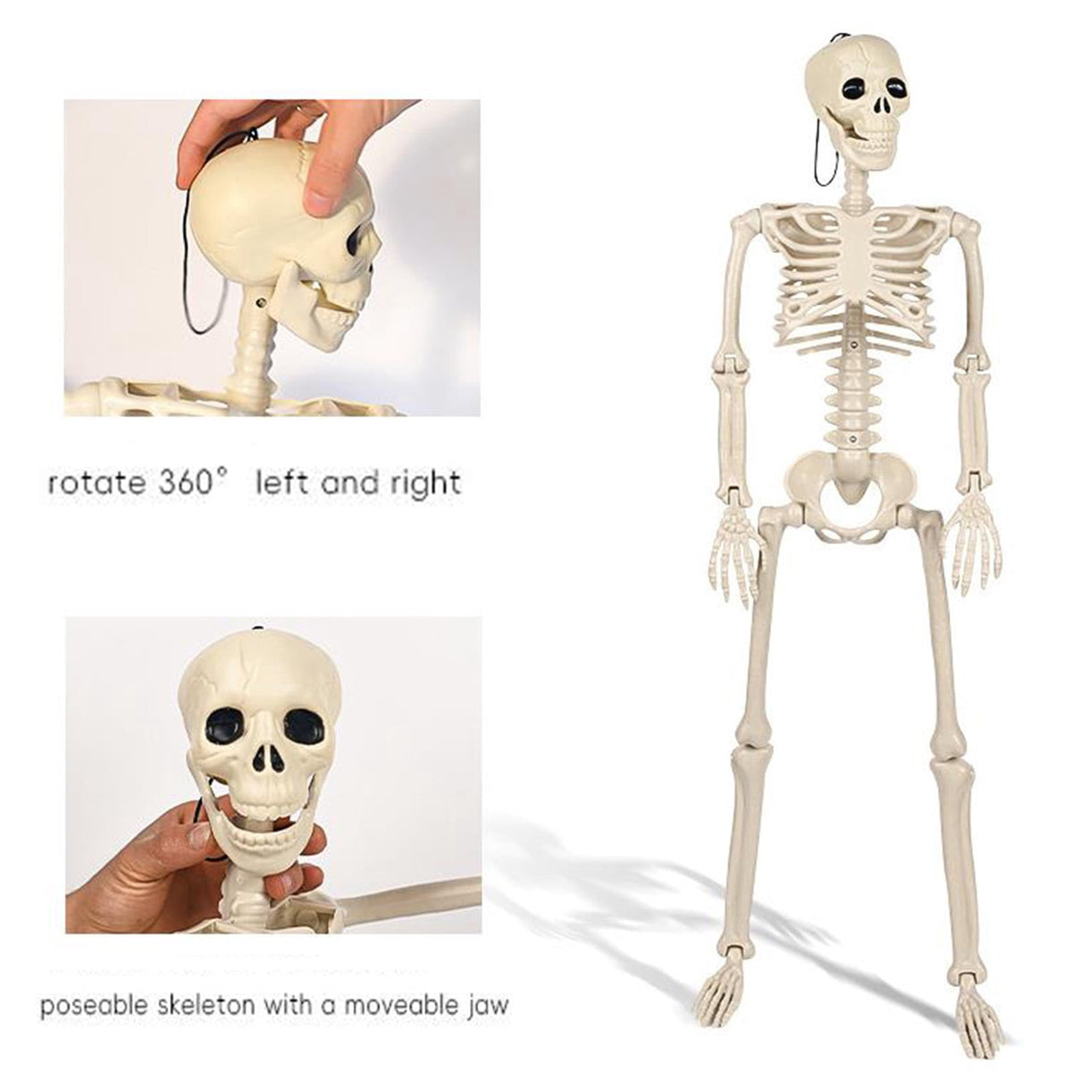 AUHomi 1 PC Halloween Skeleton, 15.7" Full Body Halloween Skeleton Decor with Movable Joints, Party Decorations, Halloween Outdoor Skeleton Decoration, Horror House Graveyard Props (S)