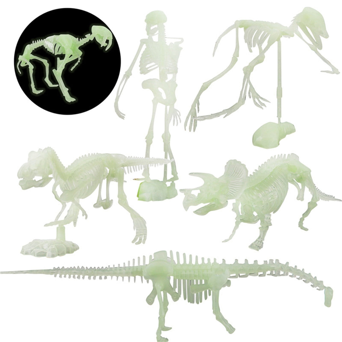 Gqtwoy 6Pcs Noctilucent Dinosaur Human Skeleton Model, Glow-in-the-Dark Skull Toy for Halloween Party, Spooky Bones Decor for Home & Office, Ideal for Haunted House & Holiday Decorations