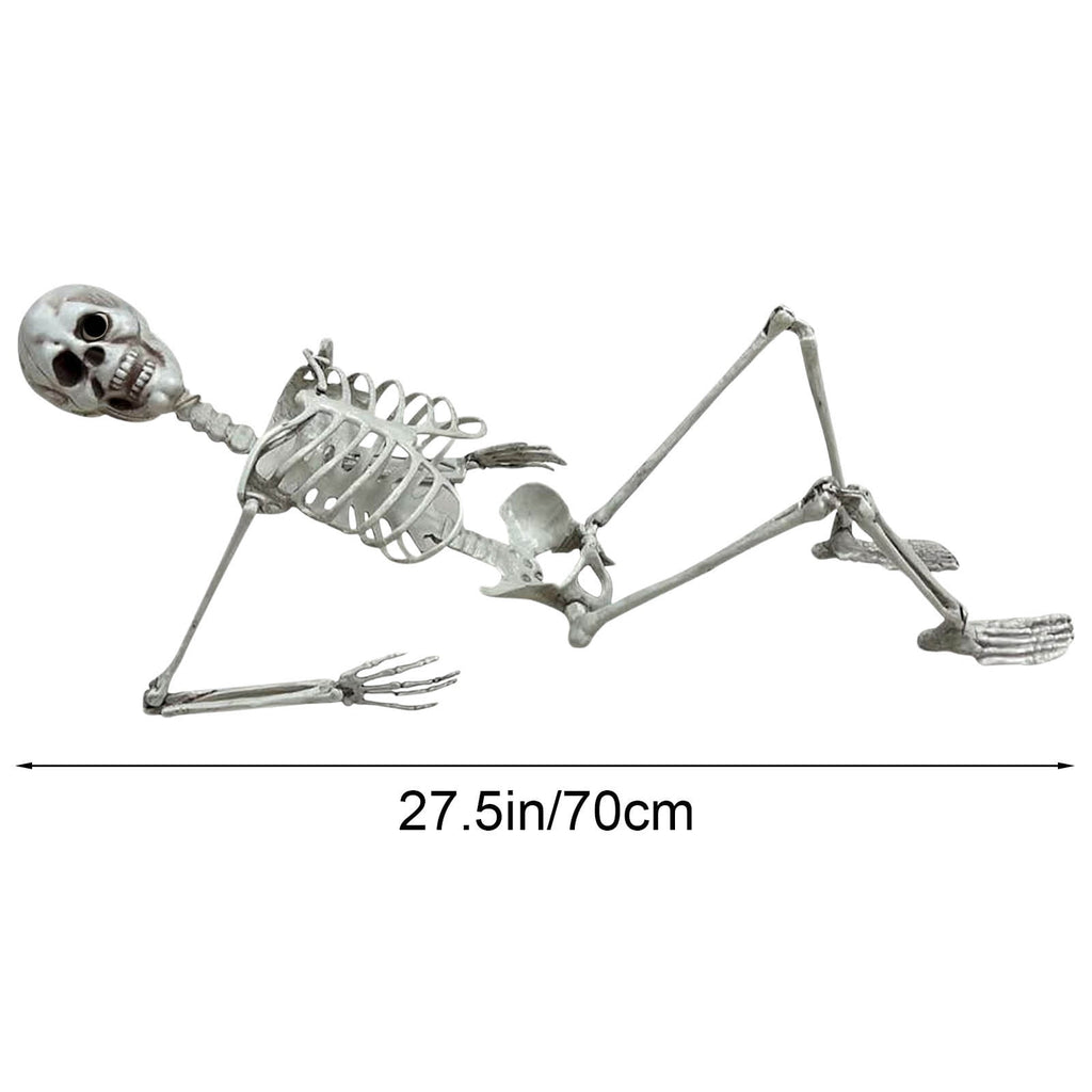 Diceymbol Life-Size Halloween Skeleton27.5Inch Tall Anatomical Model with Skull & Articulated Limbs, Durable Outdoor/Indoor Decoration for Spooky Displays