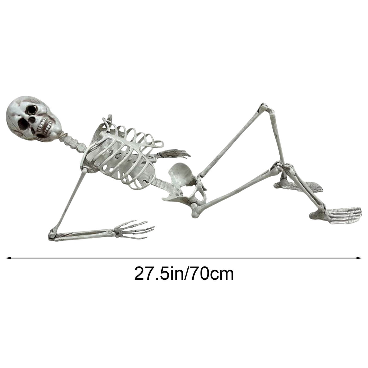 Diceymbol Life-Size Halloween Skeleton27.5Inch Tall Anatomical Model with Skull & Articulated Limbs, Durable Outdoor/Indoor Decoration for Spooky Displays