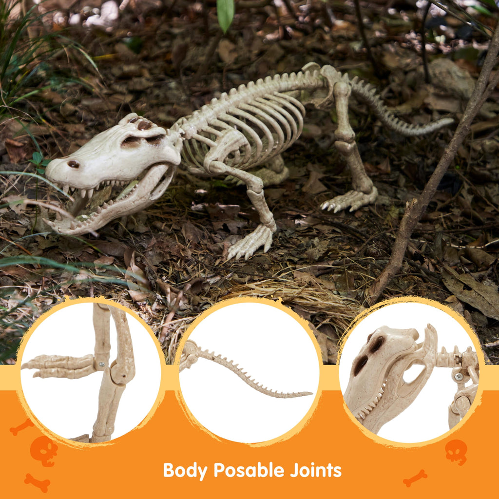 Joyfy 28" Crocodiles Skeleton Halloween Decorations with Posable Joints for Halloween Party Outdoor Indoor Decor