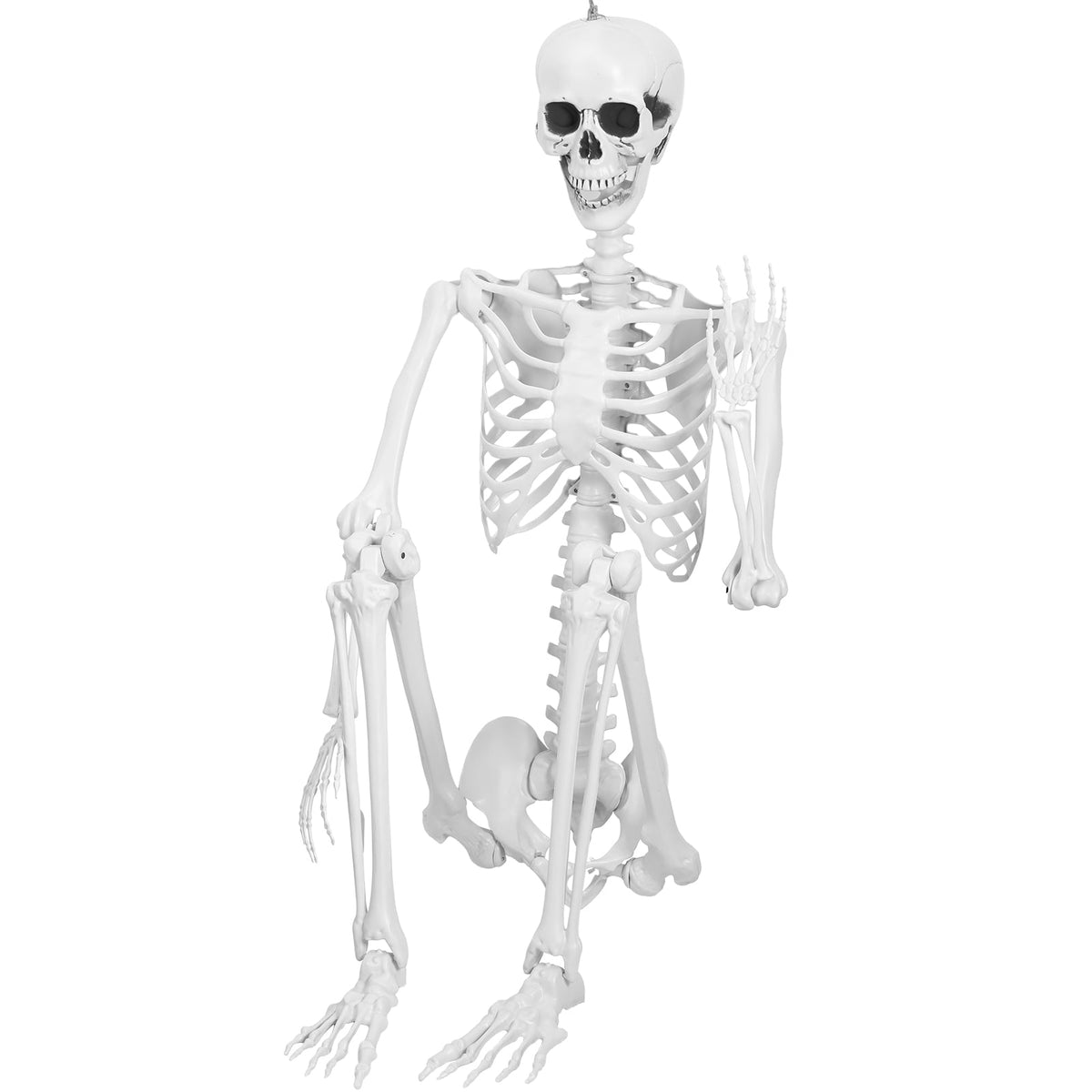 Cixusio 5.4Ft/165cm Halloween Skeleton Full Body Life Size Human Bones with Movable Joints for Indoor Outdoor Haunted House Party Halloween Props Decorations