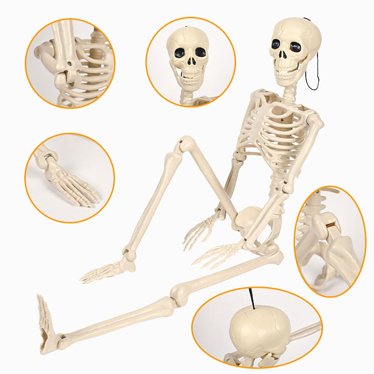 AUHomi 1PC Posable Skeleton Halloween Decorations, Plastic Hung Skeleton with Realistic Movable Joints for Halloween Haunted Houses, Lawn, Graveyard (36")