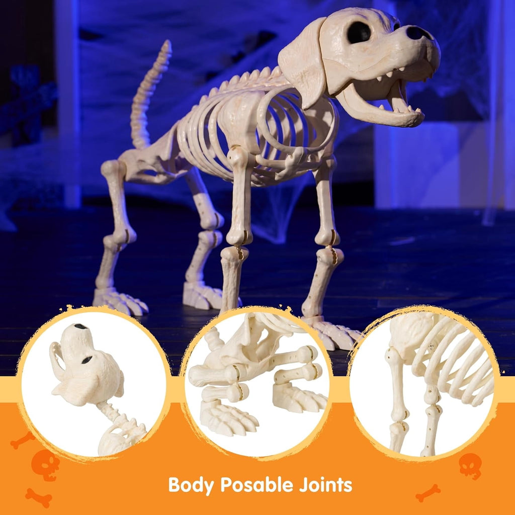 Joyfy 9.8 Inch Halloween Skeleton Dog Skeleton Halloween Decor,Pose-N-Stay Plastic Skeleton Bones with Posable Joints for Hallowmas Decoration Outdoor Haunted House Party