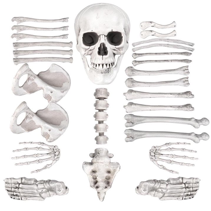 2025 Bag of Bones - 28 Pc Realistic Skeleton Bones & Skull Set for Halloween Decor (Lifesize Horror Props, DIY Party Scatter)