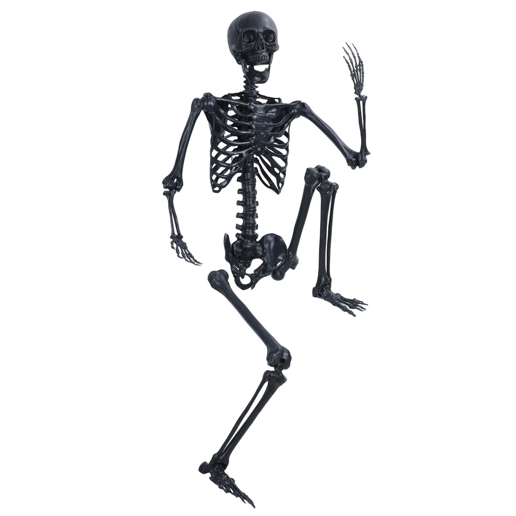Cixusio 5.4Ft/165cm Halloween Skeleton Full Body Life Size Human Bones with Movable Joints for Indoor Outdoor Haunted House Party Halloween Props Decorations