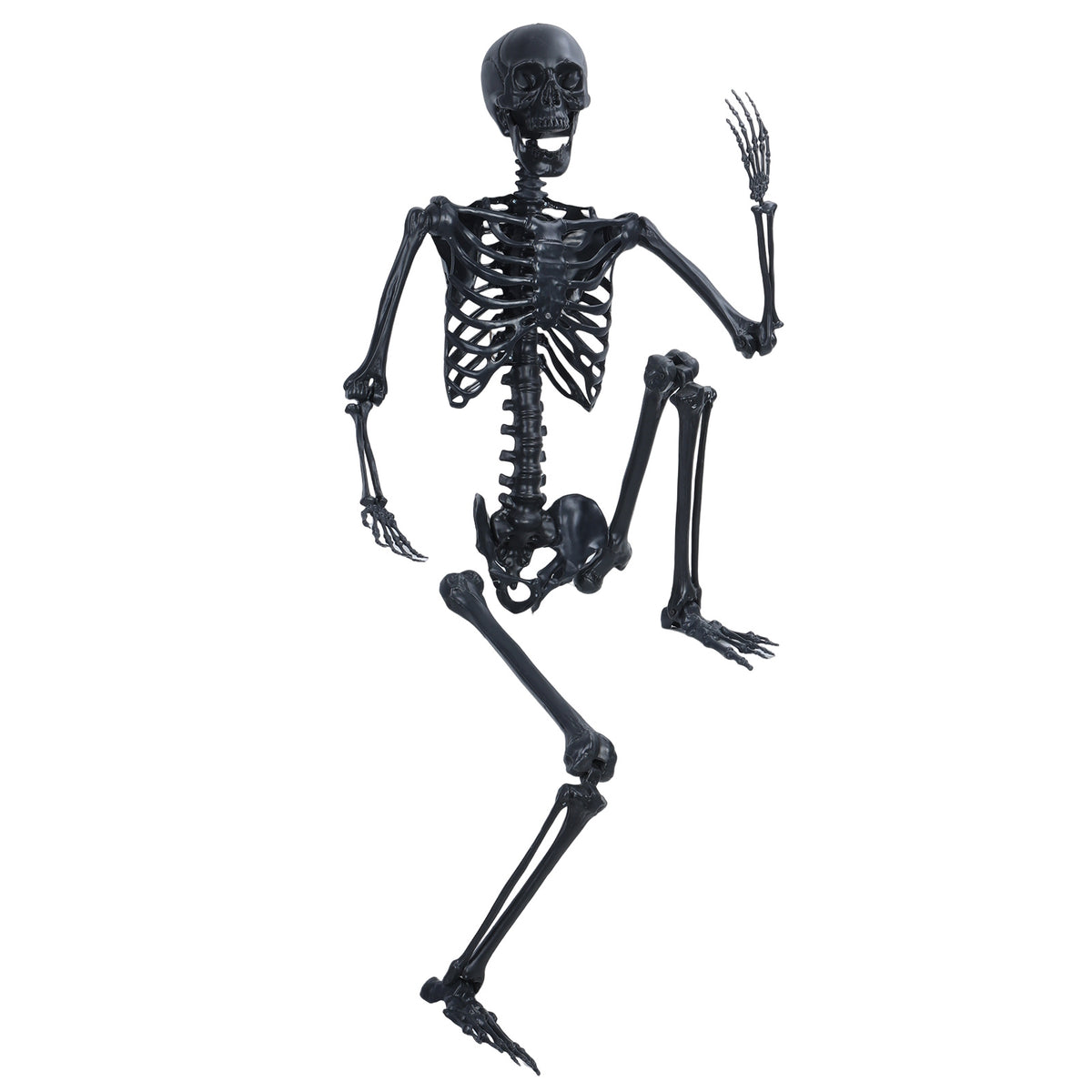 Cixusio 5.4Ft/165cm Halloween Skeleton Full Body Life Size Human Bones with Movable Joints for Indoor Outdoor Haunted House Party Halloween Props Decorations