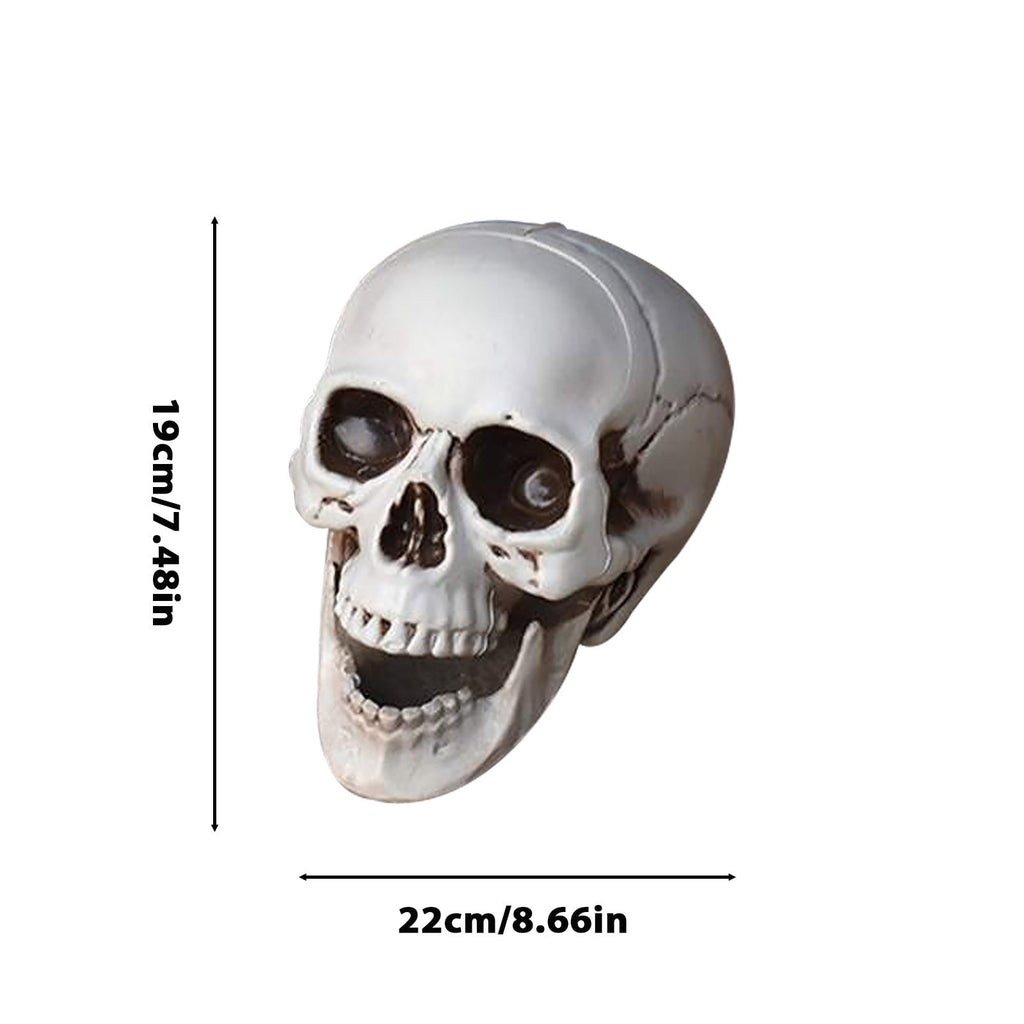 Darzheoy Halloween Skulls Halloween Skeletons Realistic Fake Simulation Human Skull Head Model Halloween Prop Realistic Mini Skeleton Spooky Halloween Decoration