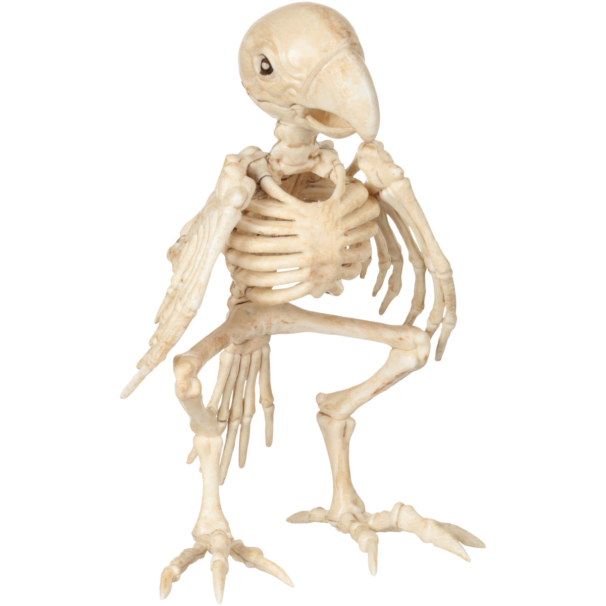 Official Crazybonez Faux Bat Skeleton