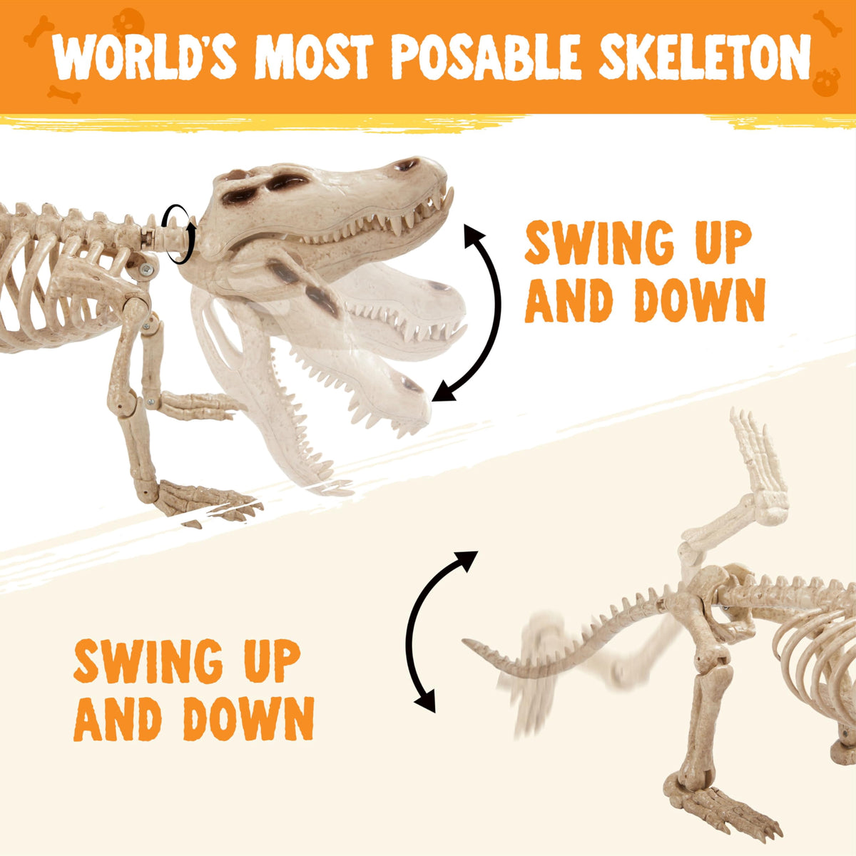 Joyfy 28" Crocodiles Skeleton Halloween Decorations with Posable Joints for Halloween Party Outdoor Indoor Decor
