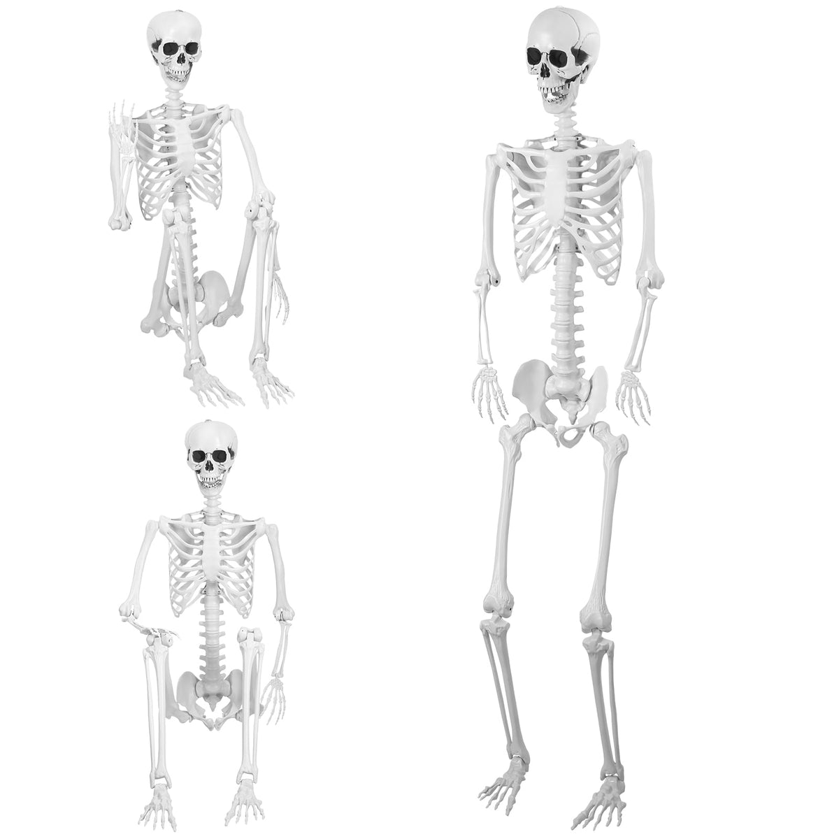 Cixusio 5.4Ft/165cm Halloween Skeleton Full Body Life Size Human Bones with Movable Joints for Indoor Outdoor Haunted House Party Halloween Props Decorations