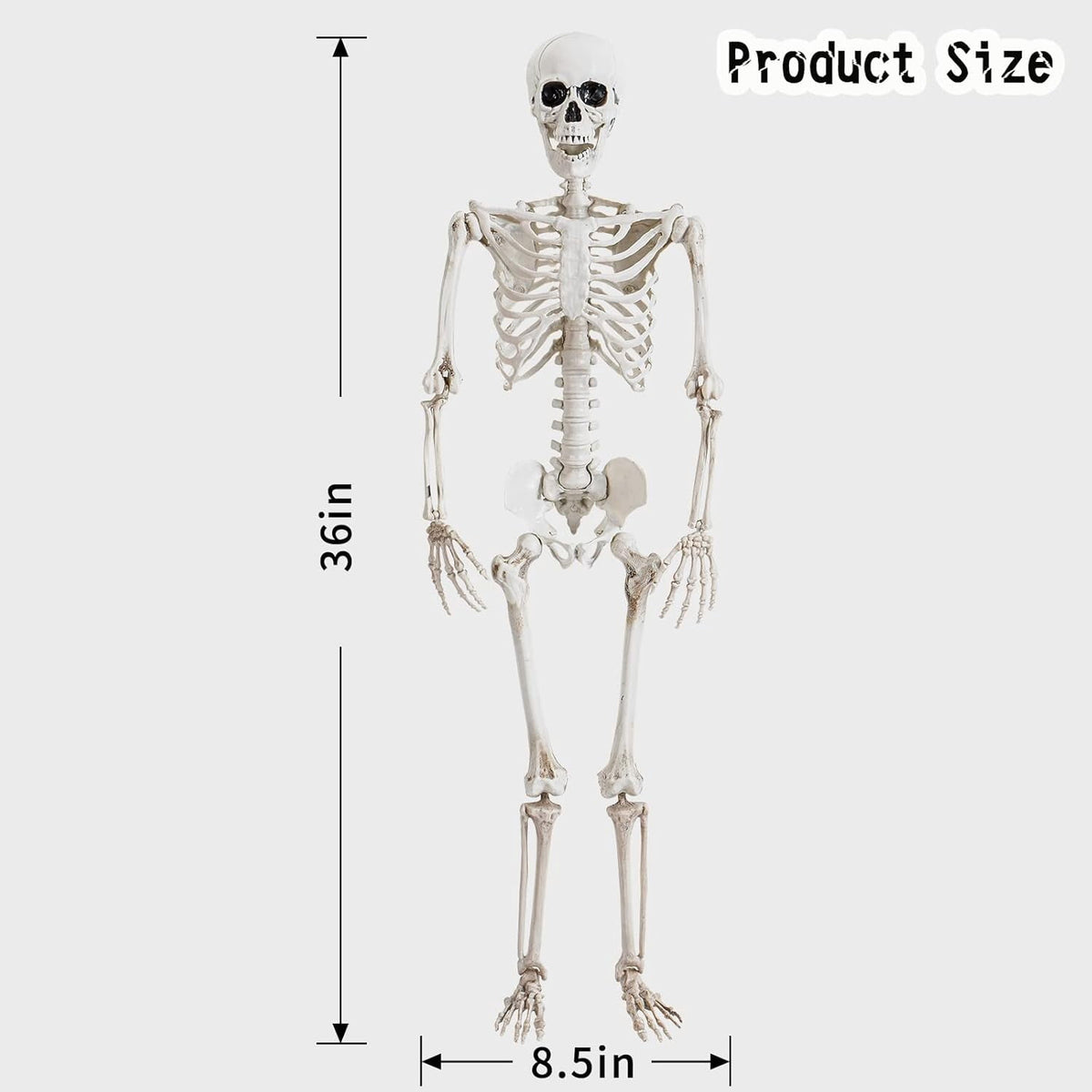 36" Posable Halloween Skeleton Decorations,Human Bones for Halloween Party with Movable Joints,for Haunted Houses, Front Lawn, Graveyard Props