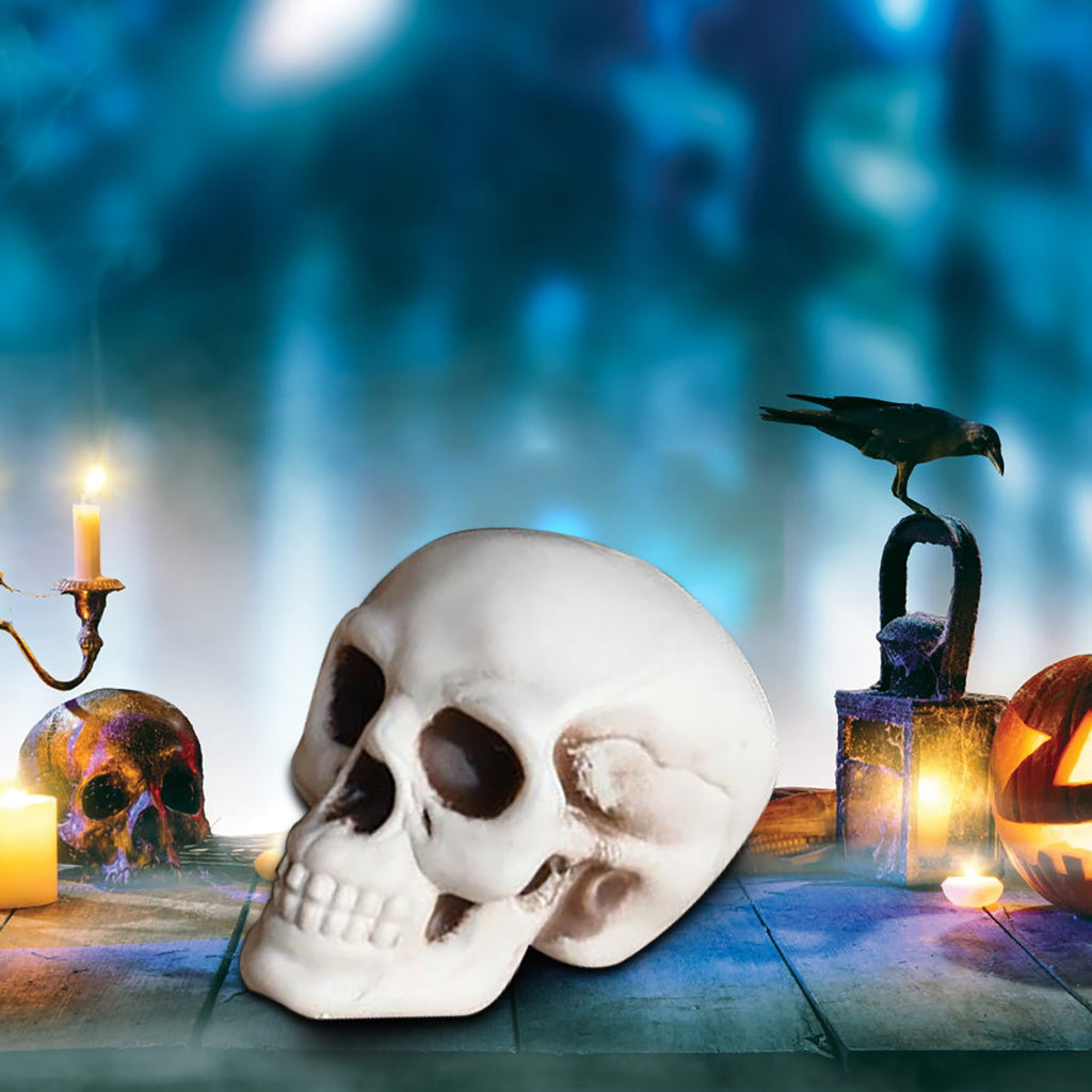 Halloween Skeletons Plastic Realistic Fake Simulation Human Skull Head Bone Model for Home Living Room, Bedroom, Courtyard, Patio,Party Decoration