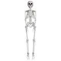 Faux Skeleton Decoration, White, 35", Halloween by Way To Celebrate