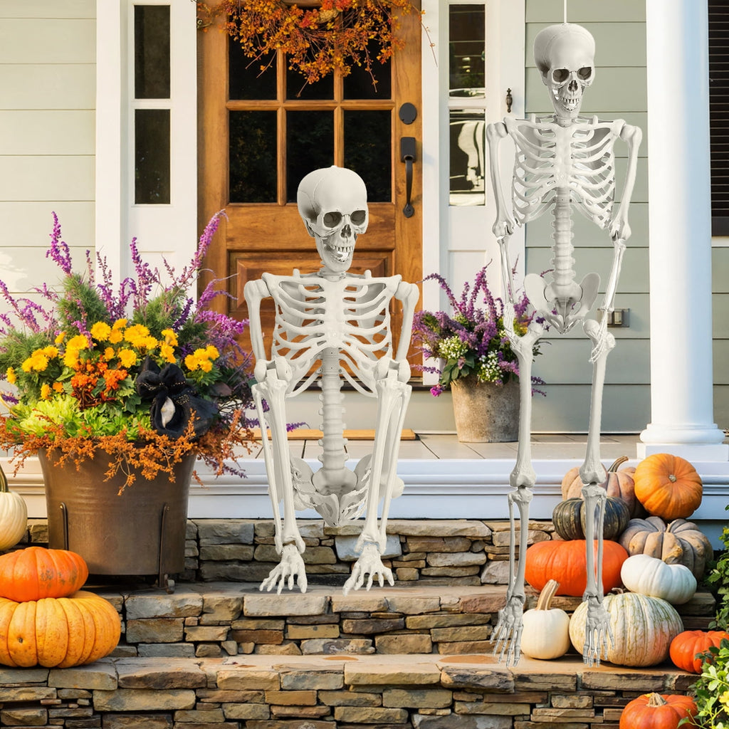 Yedigre 5.4FT HalloweenSkeleton Decor, Movable Joints Realistic Full Body Bones Skeleton Prop, No Light