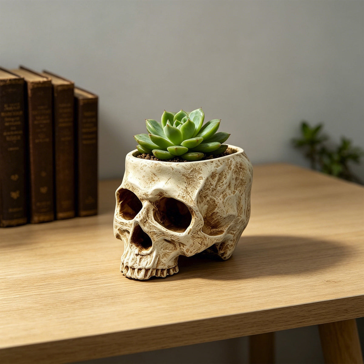 AuroraX Halloween Skeleton Head Plantser Halloween Resin Skull Flower Pot Indoor Spooky Cactus Candy Halloween Desk Decoration Black
