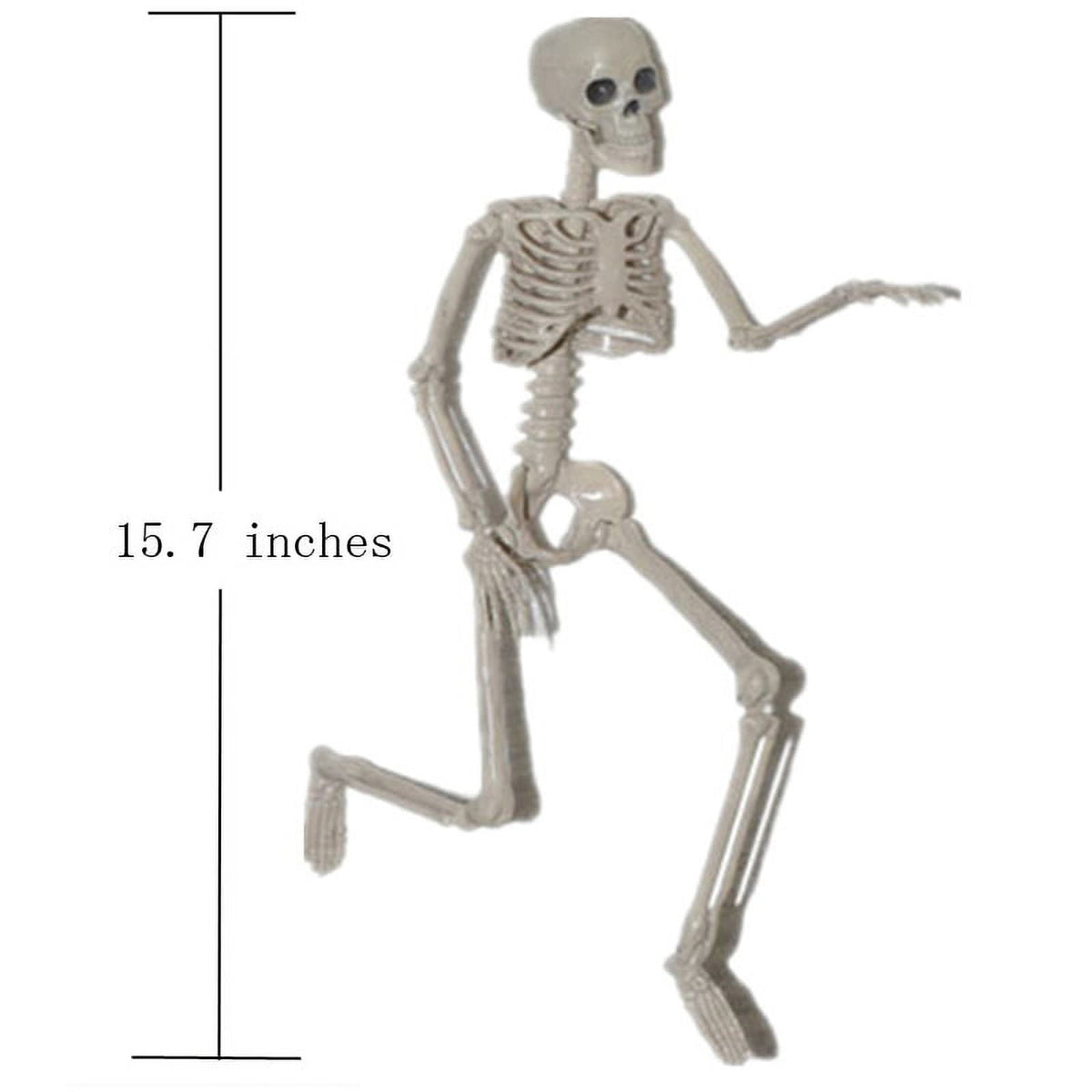 Halloween 15.7 inch skull bones Posable Human Skeleton Halloween Decoration Party Prop