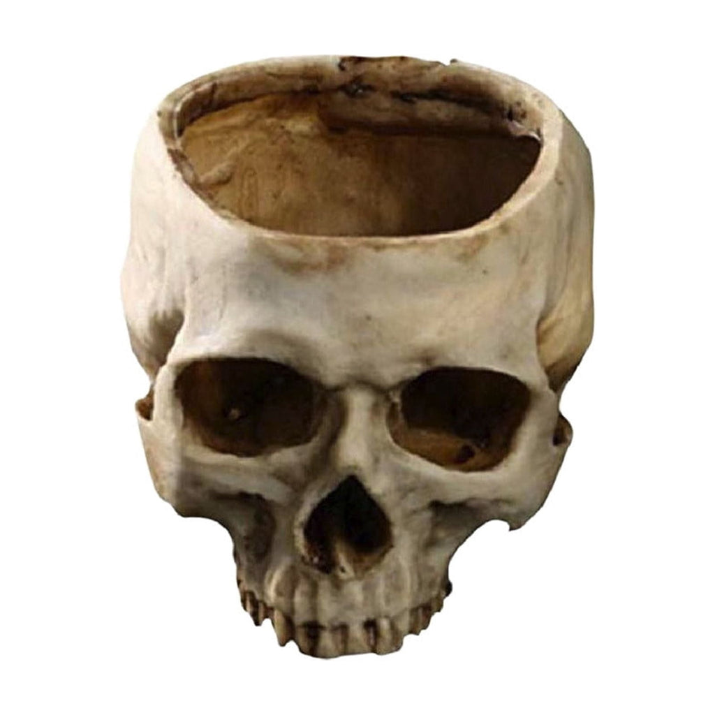 AuroraX Halloween Skeleton Head Plantser Halloween Resin Skull Flower Pot Indoor Spooky Cactus Candy Halloween Desk Decoration Black