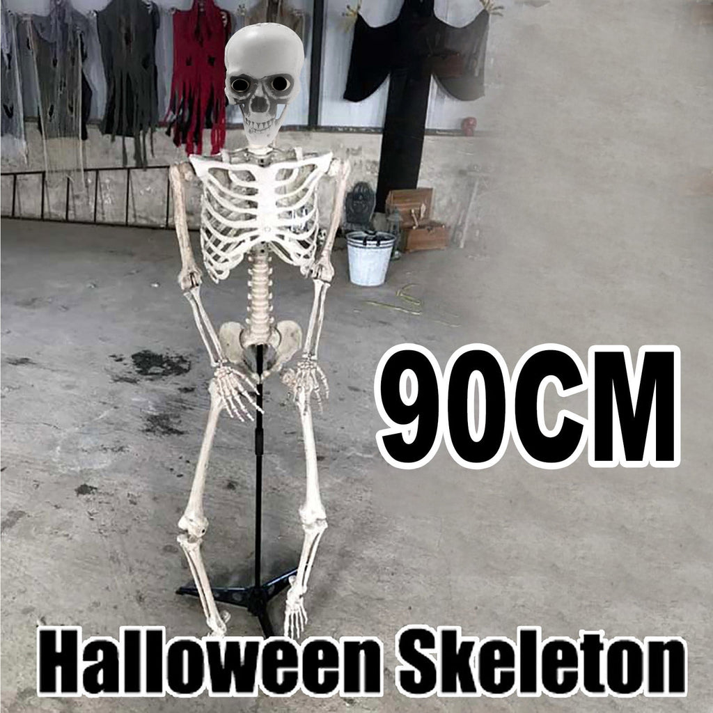3ft Posable Skeleton Prop, Life Size Full Body Plastic Halloween Skeleton Decor with Movable Joints for Indoor Outdoor Yard and Party Display