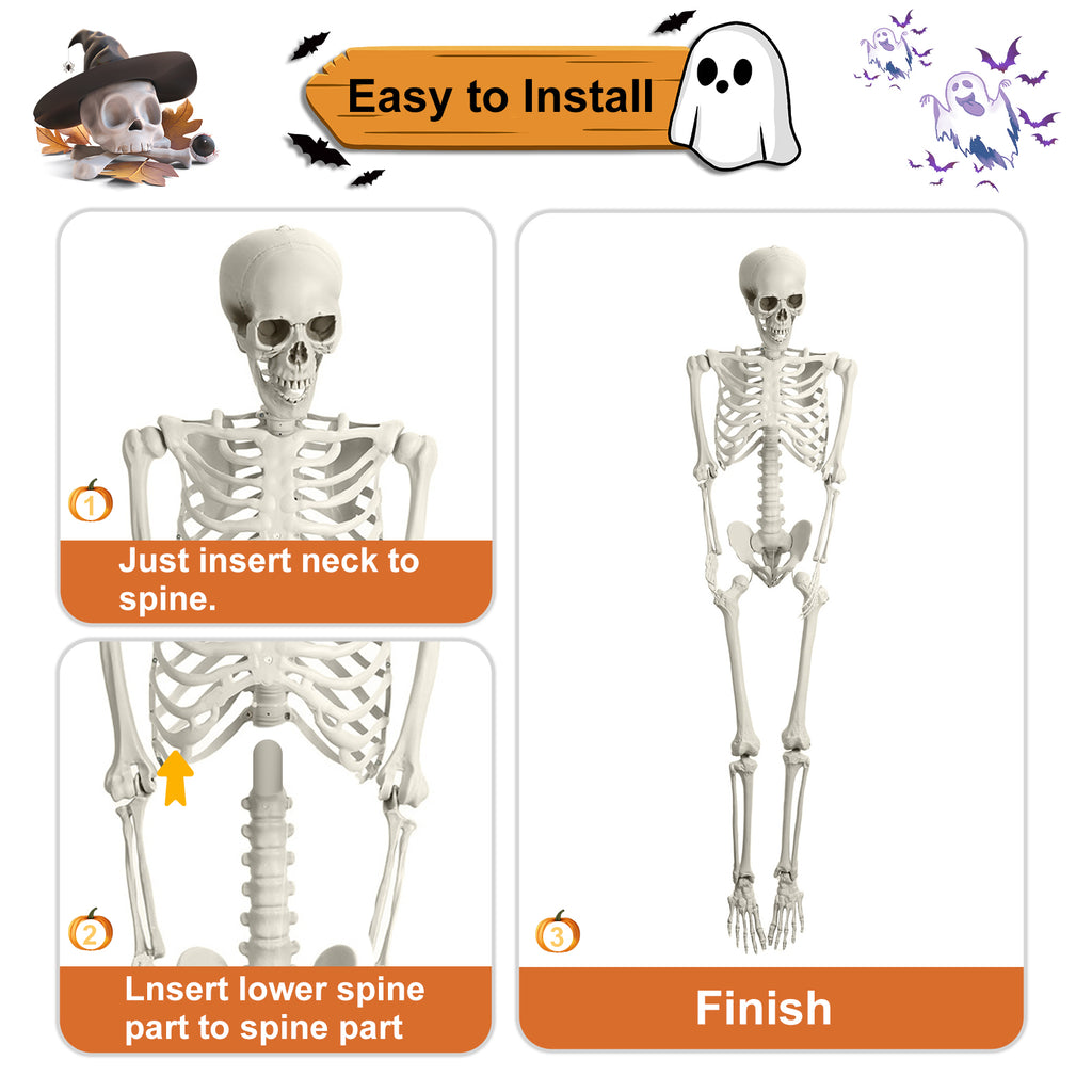 Cixusio 5.4Ft/165cm Halloween Skeleton Full Body Life Size Human Bones with Movable Joints for Indoor Outdoor Haunted House Party Halloween Props Decorations