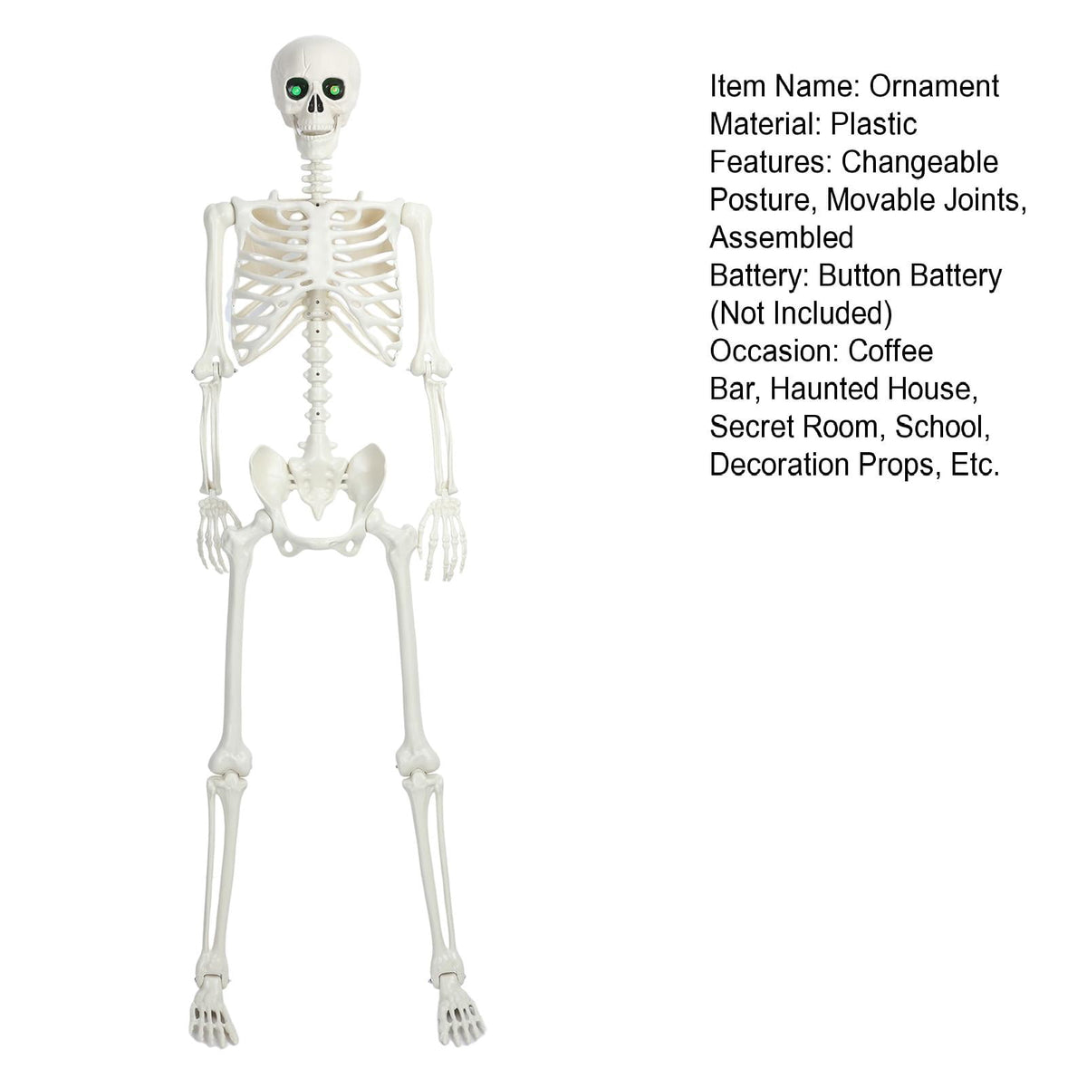 Yedigre 5.4FT HalloweenSkeleton Decor, Movable Joints Realistic Full Body Bones Skeleton Prop, No Light