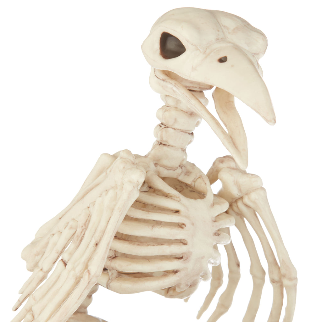 Way to Celebrate Faux Skeleton Fish Halloween Decoration
