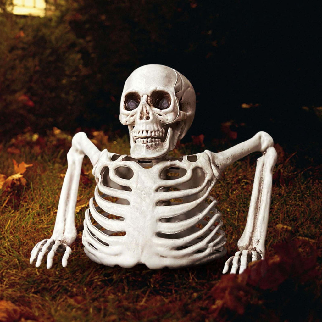 Realistic White Plastic Half Torso Skeleton Tabletop Prop, Detailed Human Half Skeleton Halloween Desktop Decor, Weatherproof Indoor Outdoor Reusable Spooky Party Ornament