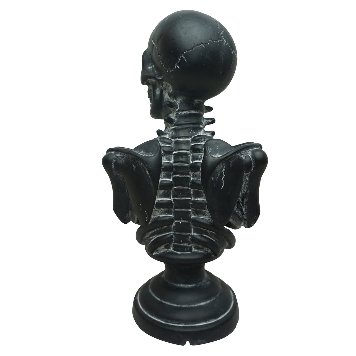 Light-Up Battery-Operated Faux Skeleton Bust, Black, 12", Halloween by Way To Celebrate