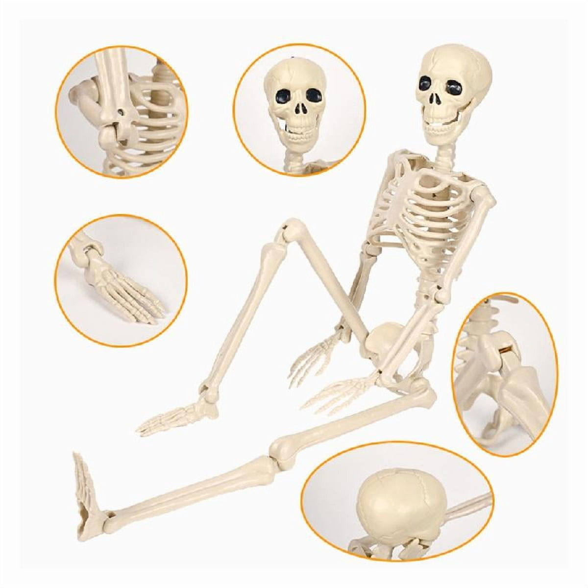 Tizuqe Poseable Halloween Skeleton with Movable Joints Realistic Full Body Bone Ornament Eerie Outdoor and Indoor Decoration
