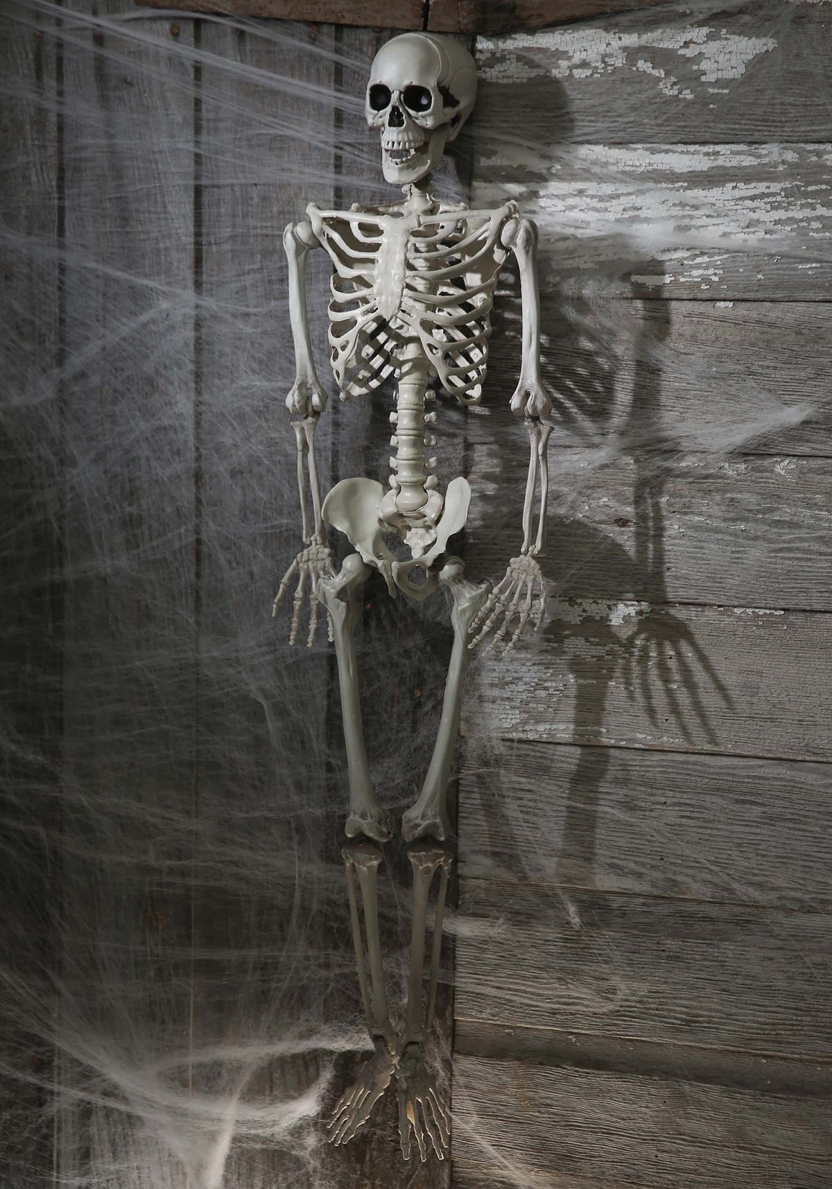 Realistic 36" Plastic Skeleton Halloween Décor