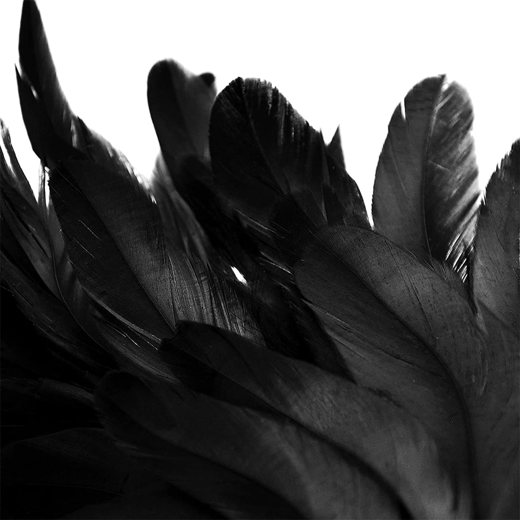 Milue 15.7in Natural Feathers Wreath Front Door Black Feather Wreath Spooky Scene Party Favors for Porch Halloween Decoration