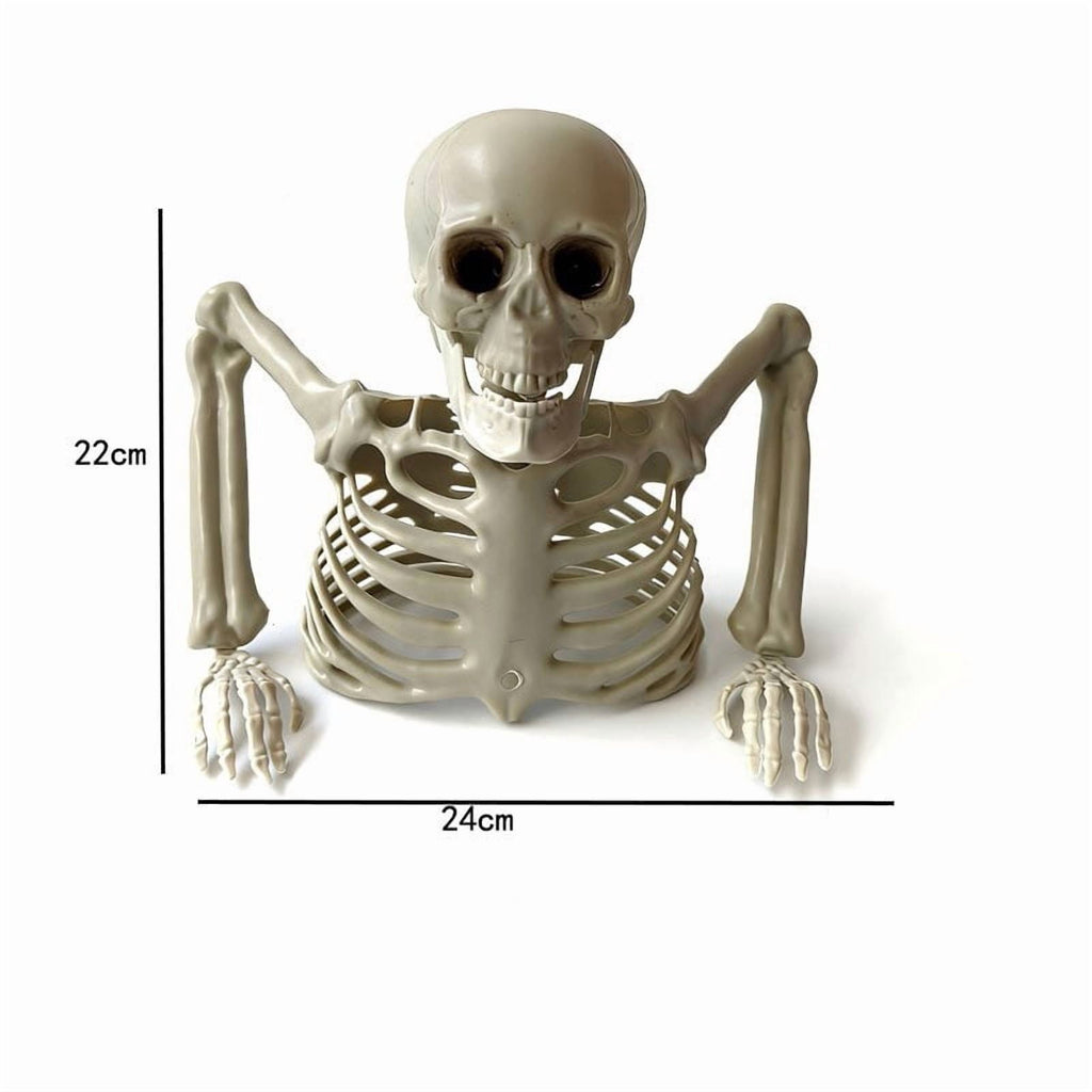 Realistic White Plastic Half Torso Skeleton Tabletop Prop, Detailed Human Half Skeleton Halloween Desktop Decor, Weatherproof Indoor Outdoor Reusable Spooky Party Ornament