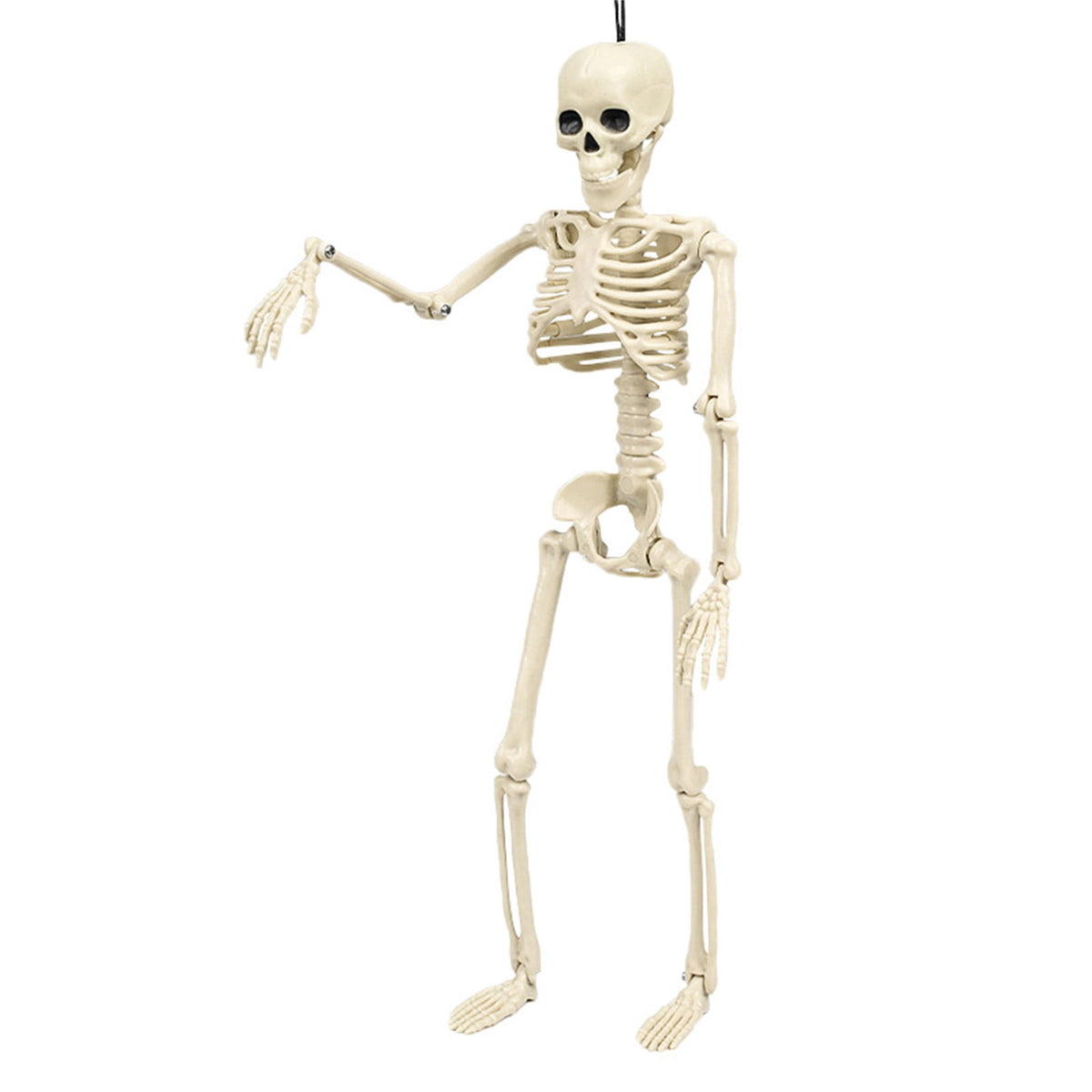 Coollooc Skeleton Halloween Decorations, 1.3Ft Realistic Full Body Movable Posable Joints Skeleton, Plastic Skeleton Decors for Halloween Party Haunted House Yard Supplies(A)